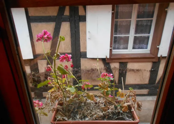 La Cour Des Meuniers - Le Froment Et L'epeautre Kaysersberg-Vignoble